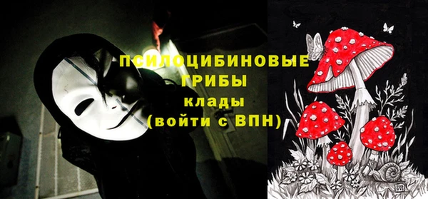 мяу мяу мука Балахна