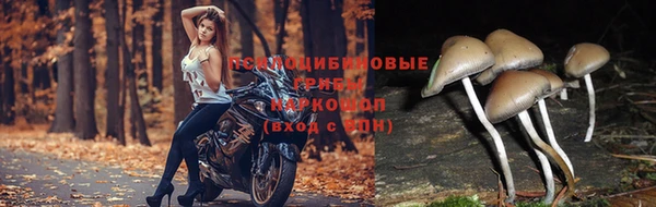 герыч Баксан