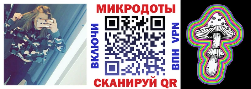 Галлюциногенные грибы Psilocybe  Никольское 